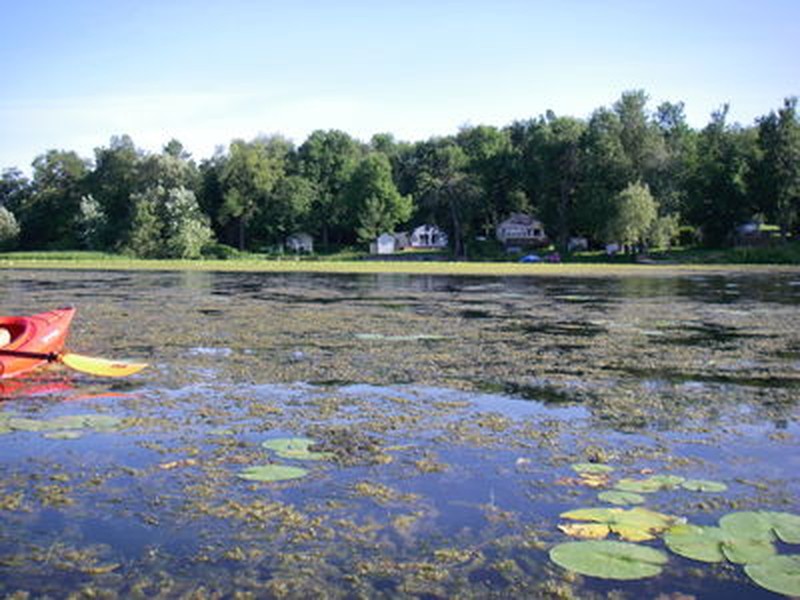 Eutrophic pond at Sodus Bay Timothy G. Howard