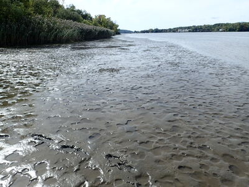 Freshwater intertidal mudflats on the west shore of Middle Ground Flats. Gregory J. Edinger
