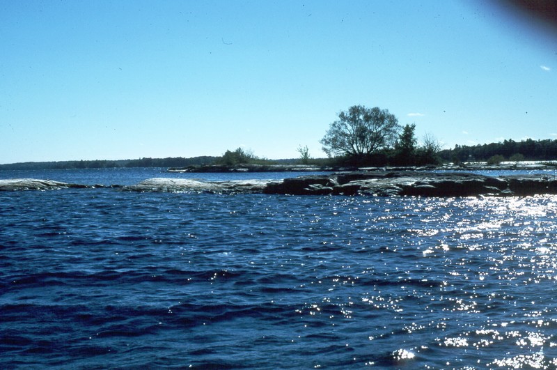 Great Lakes deepwater community (Lake Ontario) Liz McLean