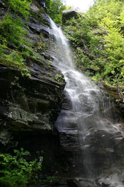 Waterfall habitat for Dryopteris fragrans and Rhodiola rosea Troy Weldy