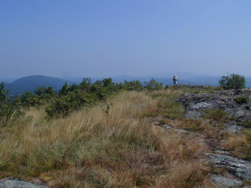 Steve Young atop Sugarloaf Mountain / Rocky summit grassland Troy Weldy