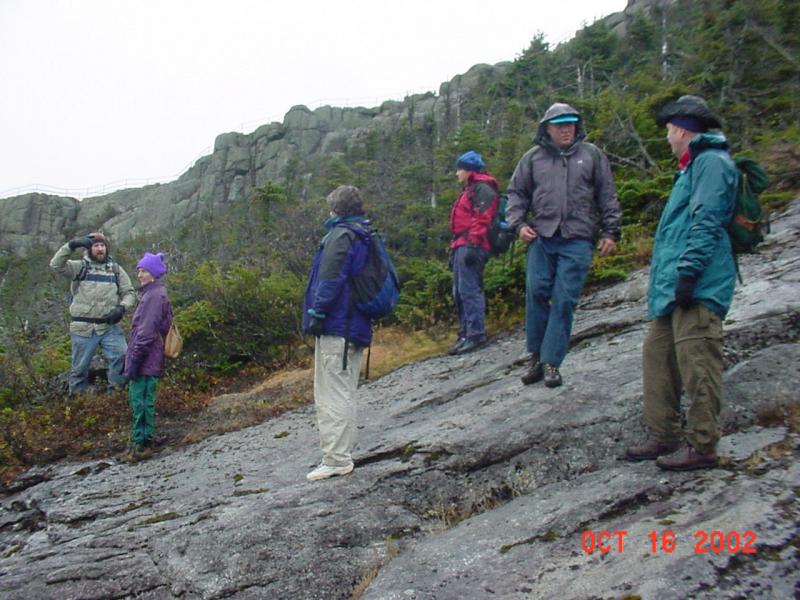 Workshop participants visit an alpine sliding fen on Whiteface Mountain. NY Heritage Files