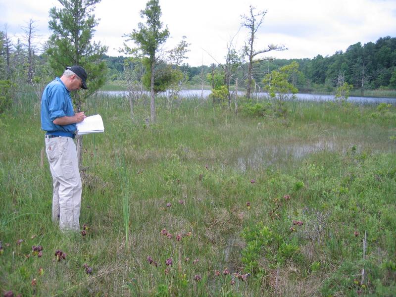 Steve Young surveying rich graminoid fen and marl fen at Junius Ponds Lowery Pond. Gregory J. Edinger