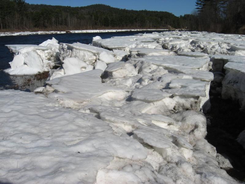 Ice pack on riverside ice meadows in April 2015 along the Hudson River South of The Glen. Gregory J. Edinger