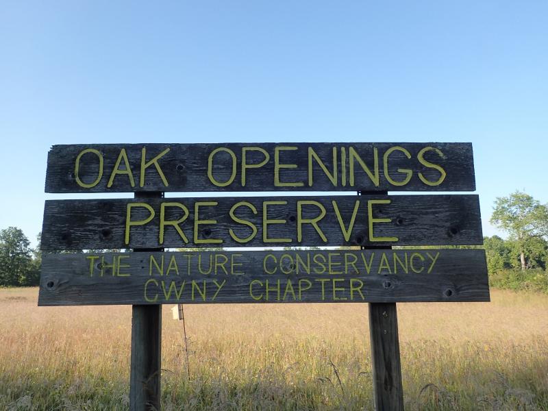 Rush Oak Openings Preserve Gregory J. Edinger