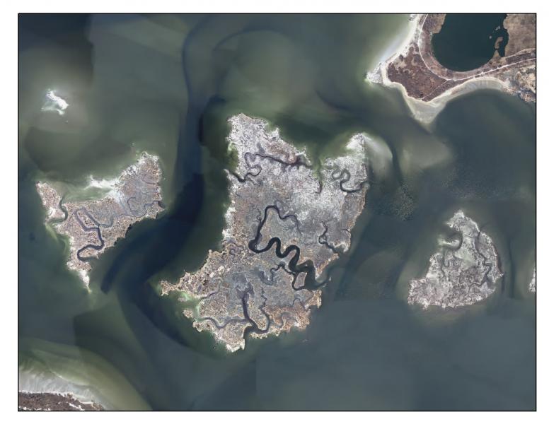 Sinuous saltwater tidal creeks in and around low salt marsh in Jamaica Bay, Gateway National Recreation Area NYS Cyber Security and Critical Infrastructure Coordination