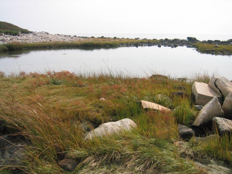 Coastal salt pond on rocky beach on Fisher's Island Gregory J. Edinger