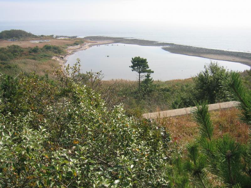 Coastal salt pond on Fisher's Island Gregory J. Edinger