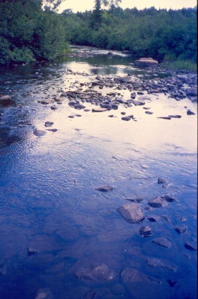 Confined river at Deer River David M. Hunt