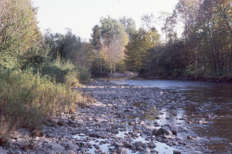Confined river, Salmon River Gregory J. Edinger