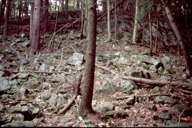 Acidic talus slope woodland David M. Hunt