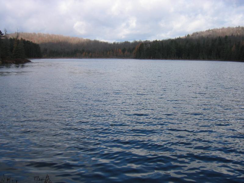 Bog lake surrounded by inland poor fen at Rankin Pond. Gregory J. Edinger