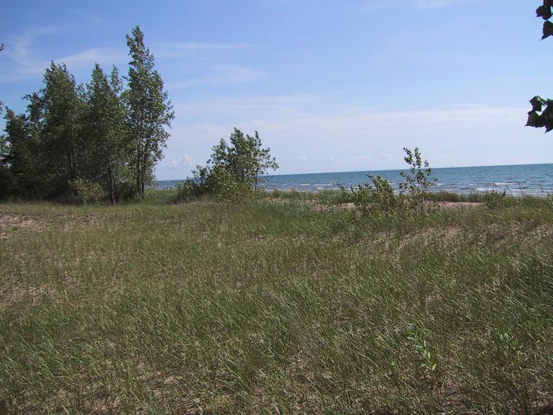 Great Lakes dunes Adele M. Olivero
