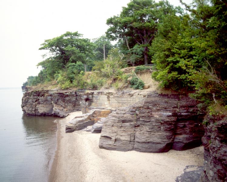 Shale cliff and talus community Stephen M. Young