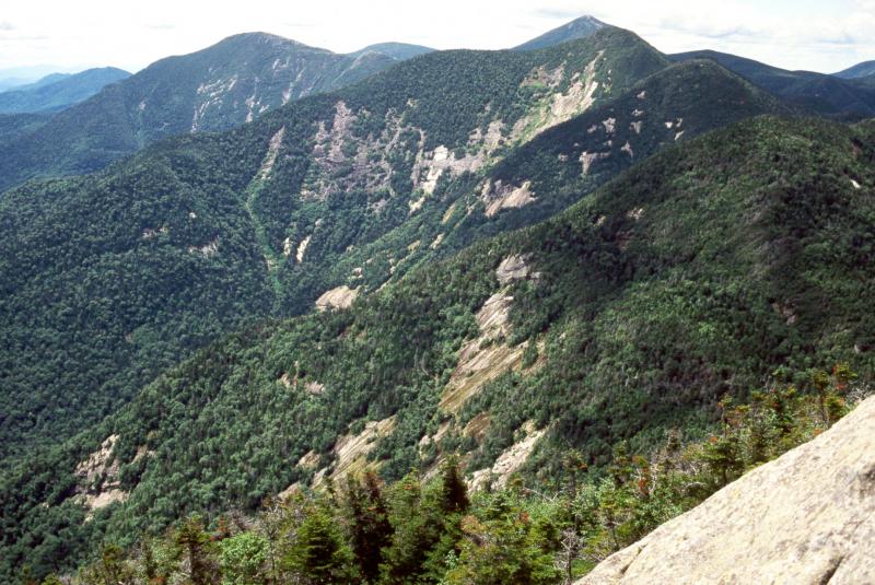 Spruce-fir rocky summit David M. Hunt