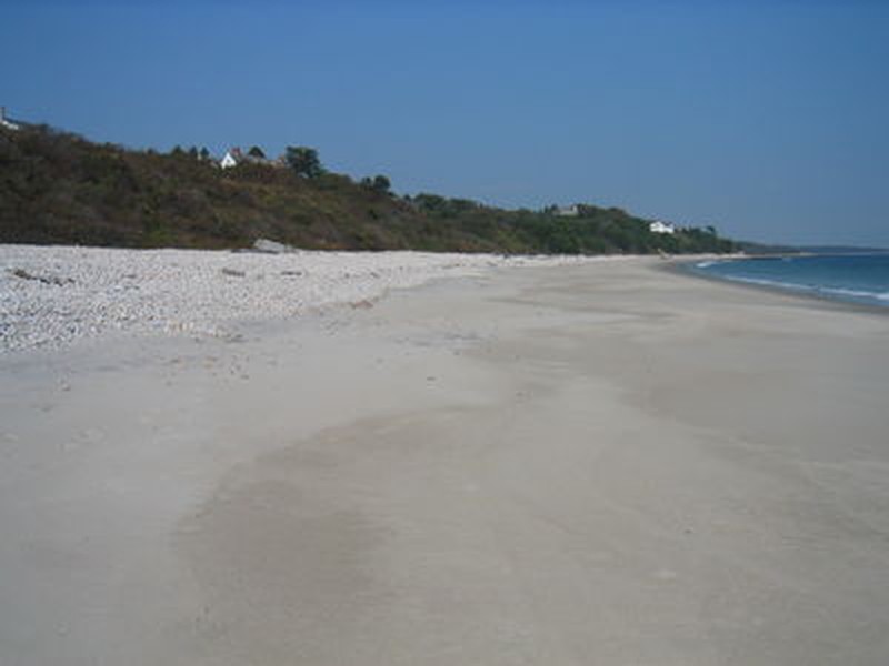Maritime beach (left) and marine intertidal gravel/sand beach (right) on Fishers Island. Gregory J. Edinger