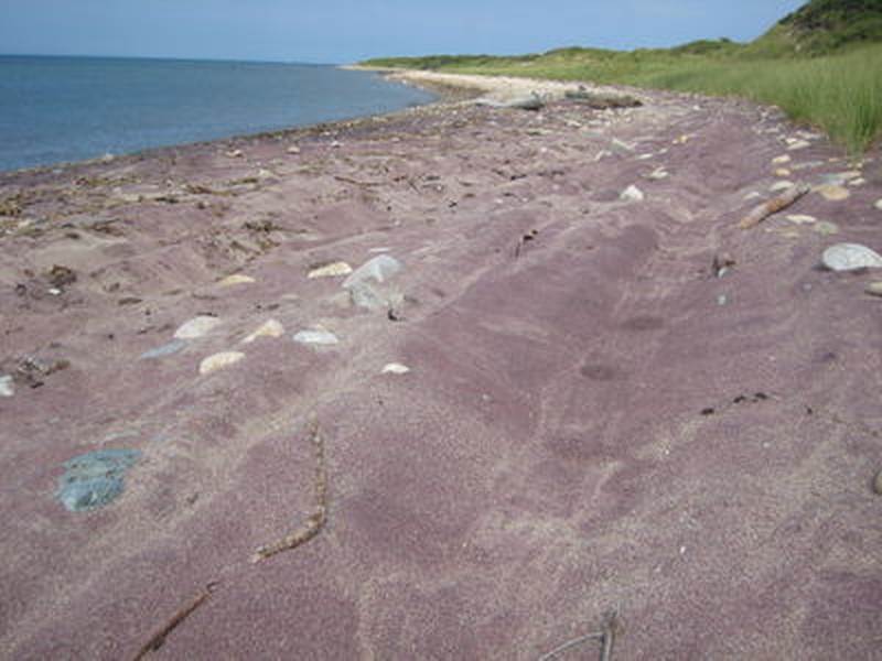 Marine intertidal gravel/sand beach on Montauk Point. Julie A. Lundgren
