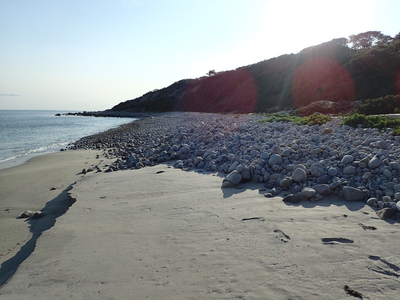 Maritime sandy beach (front) and maritime rocky beach (back) on Fishers Island. Gregory J. Edinger