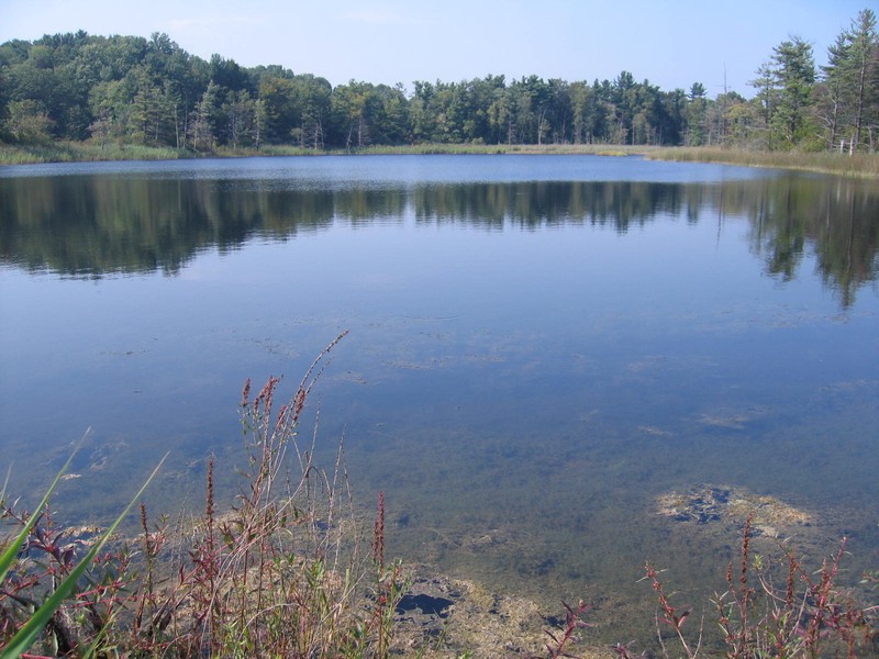 Lowery Pond marl pond at Junius Ponds. Gregory J. Edinger
