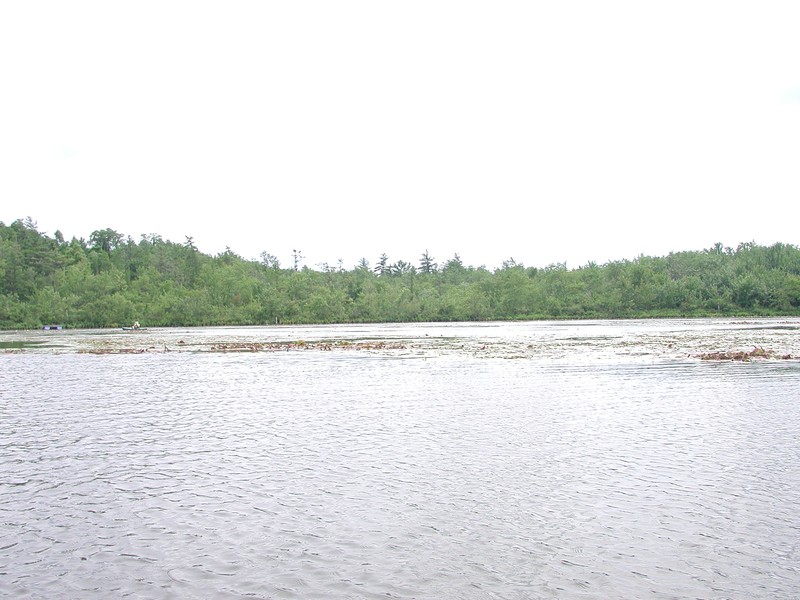 Mesotrophic dimictic lake at Duck Lake, Cayuga County Stephen M. Young
